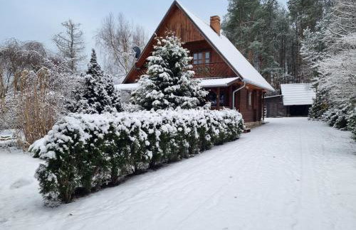 Sowa i Kumple - Foto 23