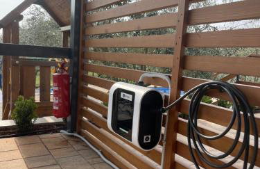 Villa Stanzietta Novigrad for 10 at Olive orchard - Foto 3