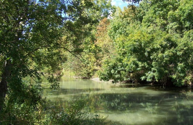 Villa in Nalliers With Private Pool and Garden - Foto 42