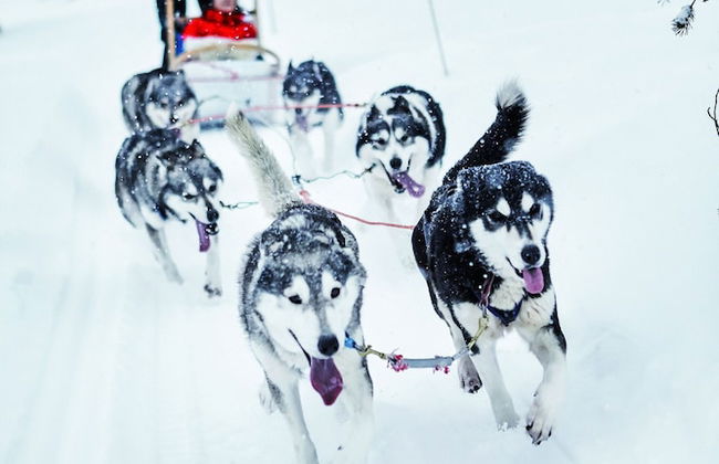 Holiday Club Ruka apartments & cottages - Foto 36