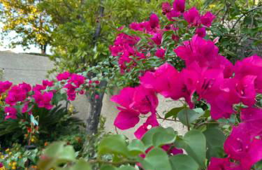 Amazing Grace Vacation Home - Foto 34