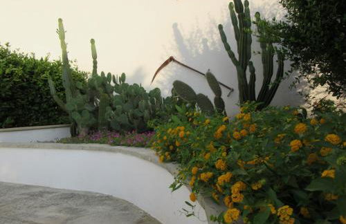 La Corte dei Colori - Foto 18