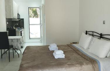 Manganas Studios - Photo 25