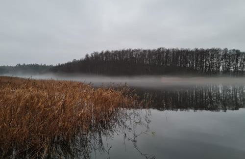 4 Sterne-Haus am See - Foto 64