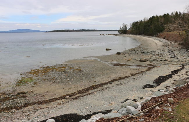 Mabel's Point - Brooklin - Photo 30