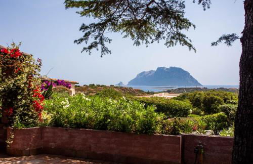 Villa Kalè - Klodge - Foto 55