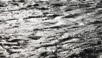 Kleine Seenadel - Foto 5