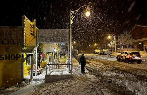 Lakefront Mountain Retreat - Foto 45