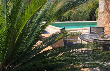 Ses llimoneres - Foto 23