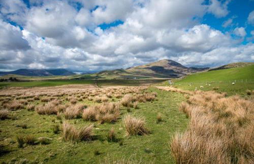 Llys-Derwin - Photo 29