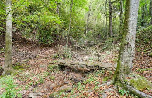 Greystone Creekside Cabin Hike, Fish and Explore! - Foto 35