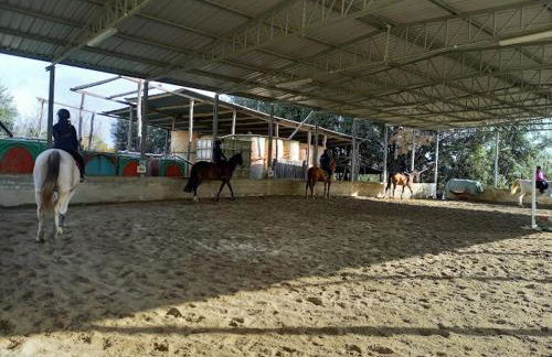 Appartamenti La Rocca - Foto 37