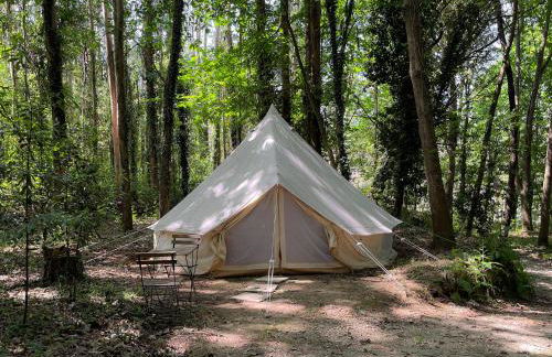 Associação Quinta das Relvas - Foto 9