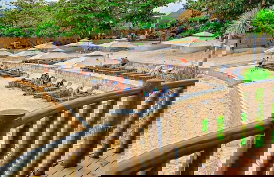 The Mactan Newtown Near Airport - Photo 36