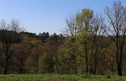 La maison de Demeter, 10 min d'Eugénie, calme des Landes Intérieures - Foto 25
