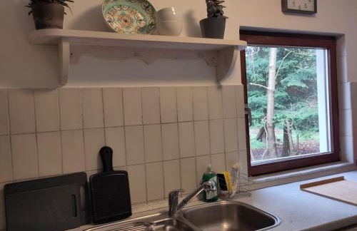 Kutscherwohnung - Foto 21