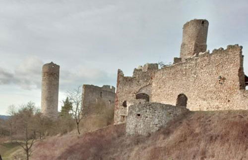 Brandenburgblick - Foto 28