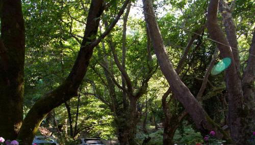 Parselia - Foto 5, Garden