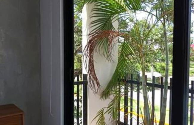 369 Luxury Apartments Mamitas Zone - Foto 69