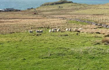 Cnoc Ruaraidh Cottage - Foto 17