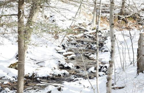 Rippling Waters close to Timberline ski slopes - Photo 42