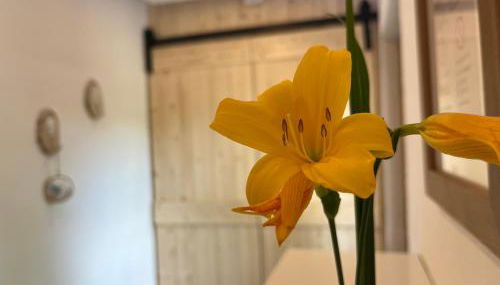 Ferienwohnung Lilly, 60qm, 4 Personen - Foto 4