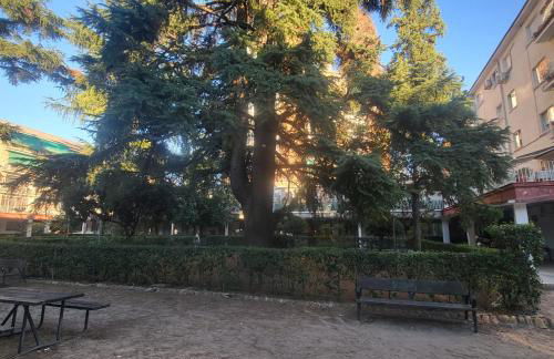 VOLPI MAZZO - Photo 14