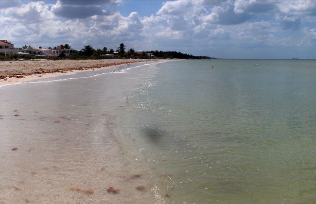 Castillo Nicte Villa - Foto 23