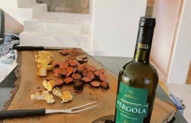 Residência dos Mariotti - Foto 12