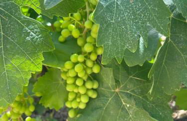 Aegean Endless Summer Villa Pefkos - Foto 32