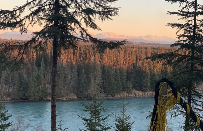 Joy's Kenai River Cabins - Foto 61