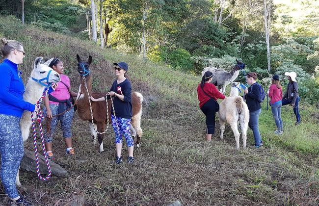 Dayboro Cottages - Photo 21