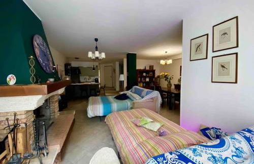 The Wild Lavender - Foto 14