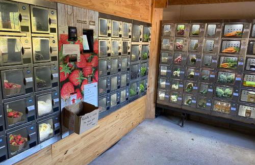 Le Cocon des Remparts-Romantique à Pierrefonds - Foto 30