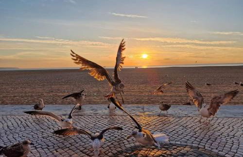 Lucas House - Foto 40