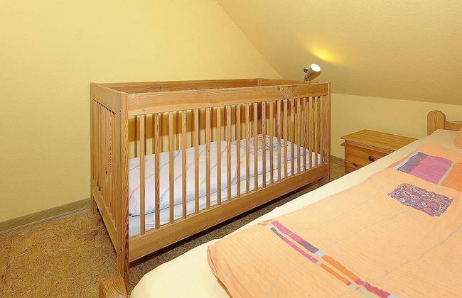 Reiterhof Maack - Foto 17