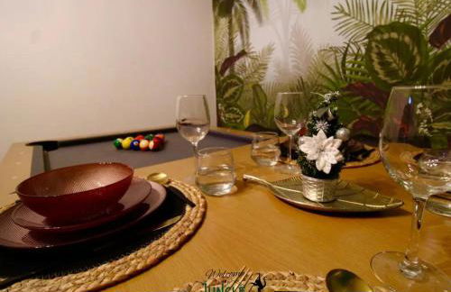 MAISON "Jungle House" 90 m2 BILLARD, RÉTROPROJECTEUR, BAR À JEUX , VINYLE, WIFI FIBRE, idéal PRO & FAMILLE à Montbrison - Foto 19