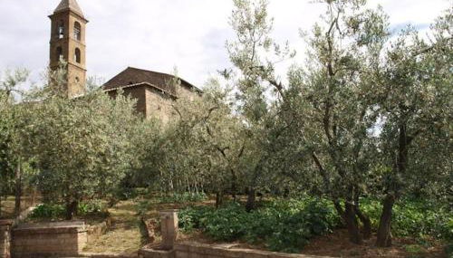 Casa Passero Orvieto - Foto 2, Garden, Garden view