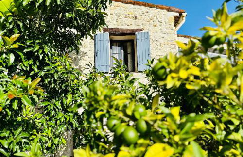 Domaine Les Deux Roches - Foto 15