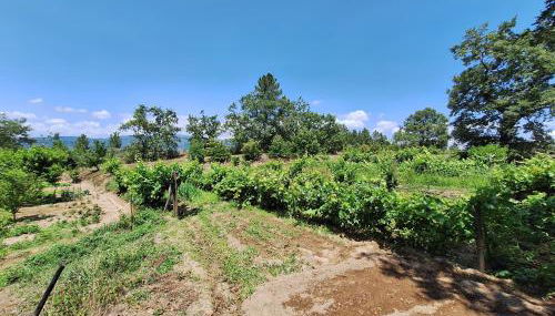 Quinta da Portela - Foto 5