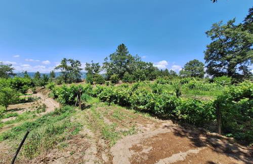 Quinta da Portela - Foto 5