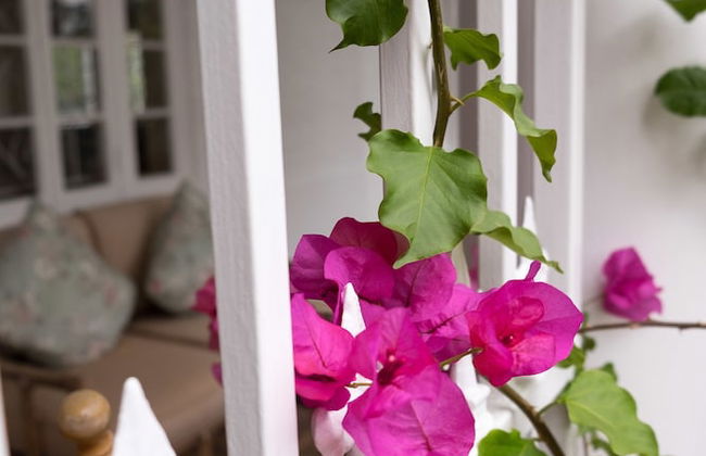 5 Camp Street Guesthouse & Self-catering - Foto 23