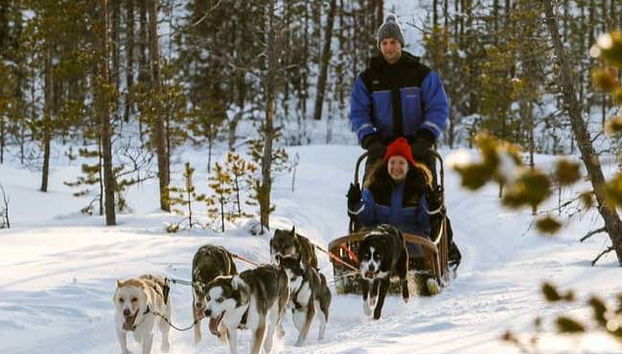 Husky dog sled ride in Ylläsjärvi
