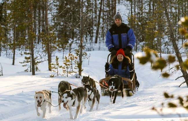 Husky Dog Sled Ride - Photo 2