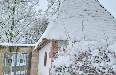 Schwarzwaldmarie - Foto 53