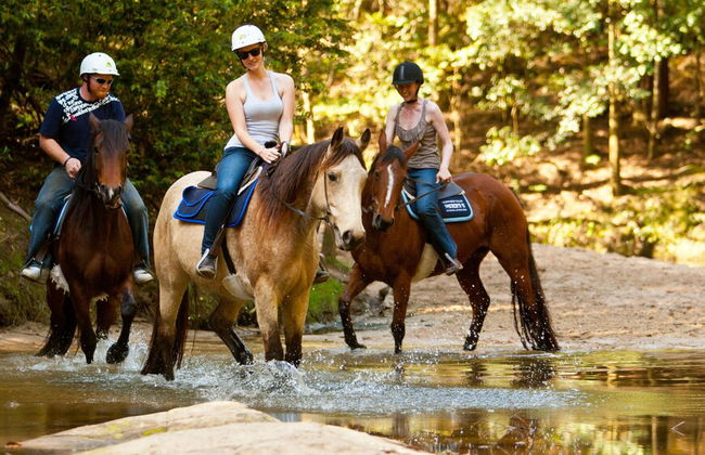 Glenworth Valley Outdoor Adventures - Photo 24