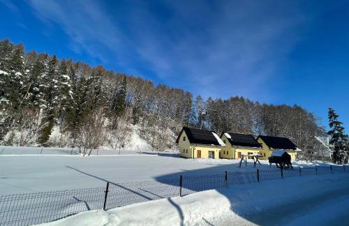 Domki pod Grapą - Foto 2