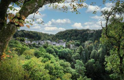 Gîte de France La rapiette 3 épis - Gîte de France 4 personnes MAE-3701 - Foto 7