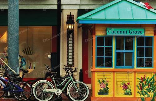 iCoconutGrove - Luxurious Vacation Rentals in Coconut Grove - Foto 47