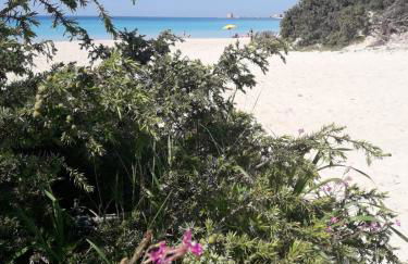 Villa Chiara - Foto 34